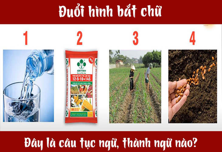 Câu tục ngữ, thành ngữ khó nhằn này là gì? (P13) - Ảnh 4.