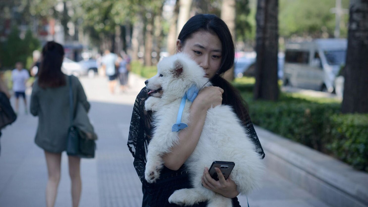 Doanh nghiệp Nhật Bản tìm kiếm cơ hội tại thị trường thú cưng Trung Quốc - Ảnh 1.