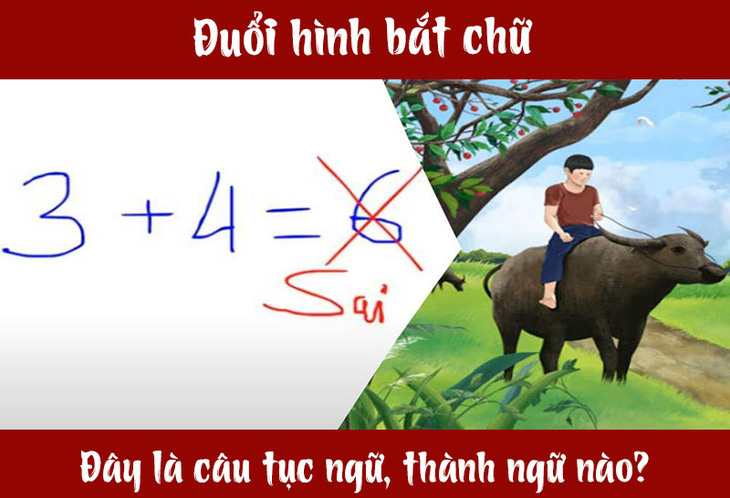 Câu tục ngữ, thành ngữ khó nhằn này là gì? (P13) - Ảnh 1.