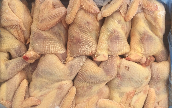 Mỗi tháng hàng chục ngàn tấn gà thải loại nhập lậu vào Việt Nam