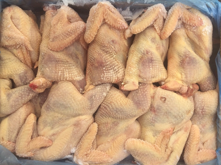 Mỗi tháng hàng chục ngàn tấn gà thải loại nhập lậu vào Việt Nam - Ảnh 1.