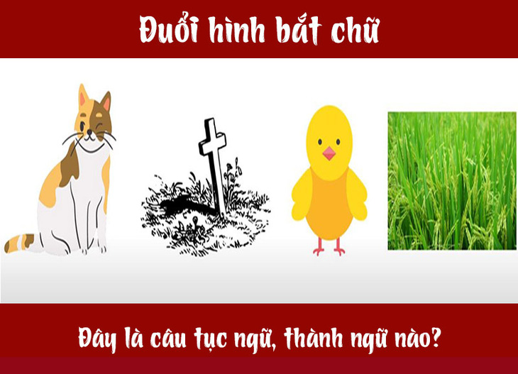 Câu tục ngữ, thành ngữ khó nhằn này là gì? (P14) - Ảnh 4.