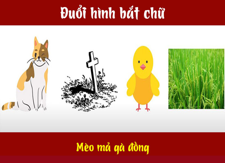 Câu tục ngữ, thành ngữ khó nhằn này là gì? (P14) - Ảnh 6.