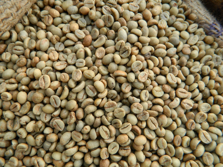 Báo Mỹ: Việt Nam dốc toàn lực cho hạt cà phê robusta