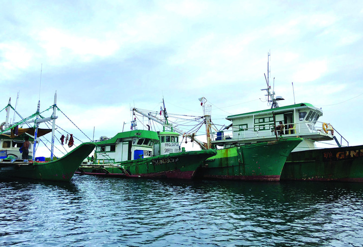 Các tàu đánh cá thương mại neo đậu ngoài khơi đảo Siargao, một ngư trường phong phú của Philippines. Ảnh: Roel N. Catoto