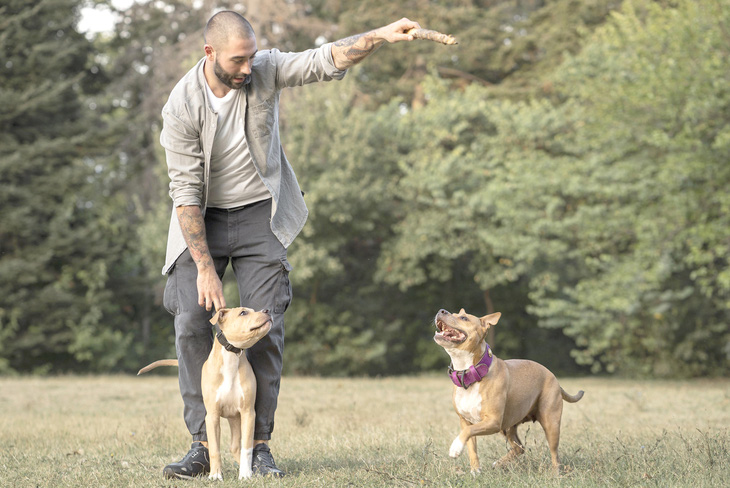 Người đàn ông huấn luyện hai con chó Pitbull - Ảnh: Freepik