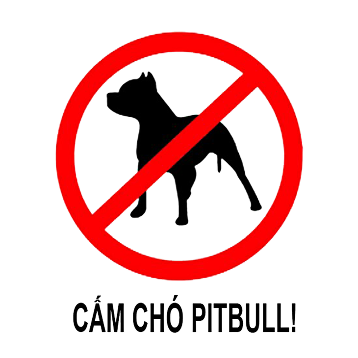 Việt Nam cần có luật cụ thể về nuôi chó dữ như pitbull - Ảnh 2.