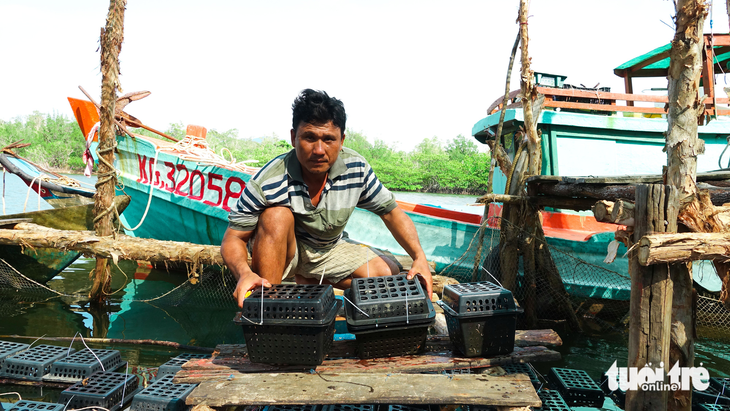 Người đàn ông Ninh Bình táo bạo đầu tư hàng trăm triệu để nuôi cua biển trong  hộp nhựa