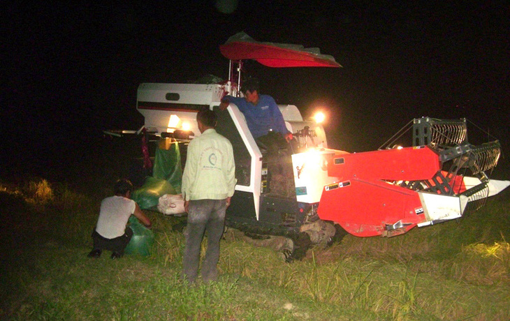 Người dân xã Nghi Vạn, huyện Nghi Lộc, Nghệ An gặt lúa vào ban đêm để tránh nắng nóng - Ảnh: DOÃN HÒA