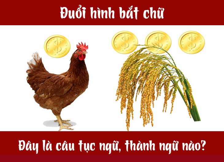 Câu tục ngữ, thành ngữ khó nhằn này là gì? (P17) - Ảnh 1. Câu tục ngữ, thành ngữ khó nhằn này là gì? (P17) - Ảnh 1.