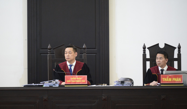 Tòa không chấp nhận luật sư kháng cáo thay bà Nguyễn Thị Thanh Nhàn - Ảnh 2.