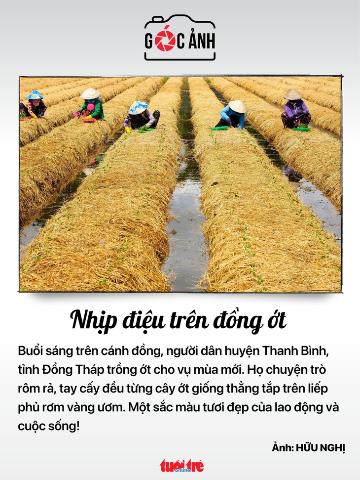 Tin tức sáng 27-5: 25% gạo xuất khẩu trực tiếp sẽ mang nhãn hiệu Gạo Việt Nam - Ảnh 9.