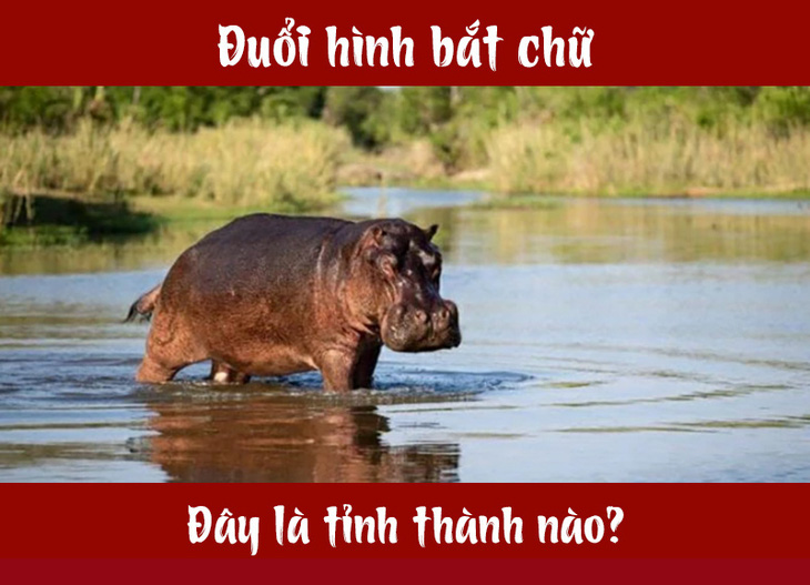 IQ cao có đoán được đây là tỉnh thành nào của Việt Nam? (P17) - Ảnh 7.