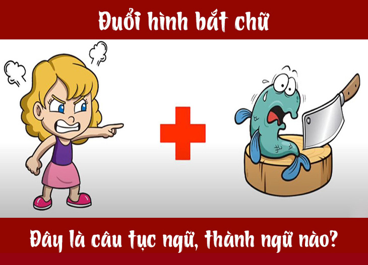 Câu tục ngữ, thành ngữ khó nhằn này là gì? (P21) - Ảnh 4.