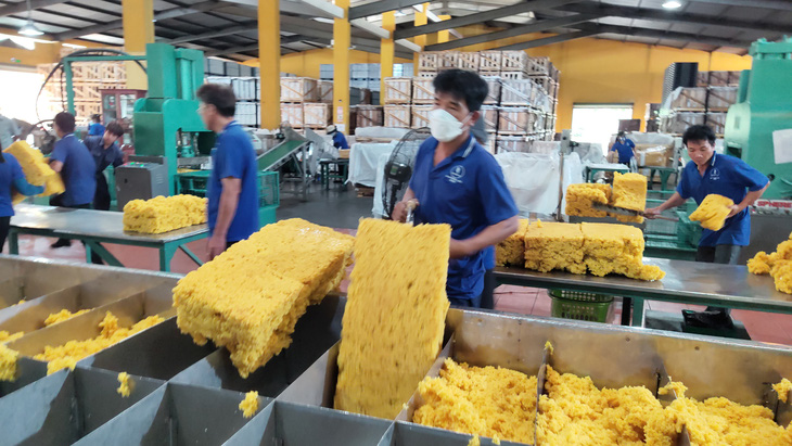 Tin tức sáng 29-5: Xây dựng thương hiệu Gạo Việt Nam, đưa ra thị trường gạo dinh dưỡng, gạo đồ... - Ảnh 1.