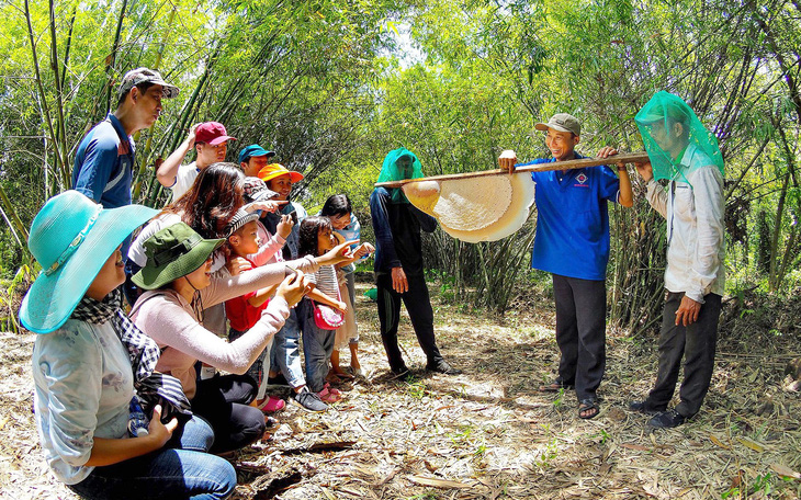 Gác kèo ong - chuyện cổ tích có thật ở rừng U Minh - Kỳ 5: Nghề gác kèo ong vẫn 