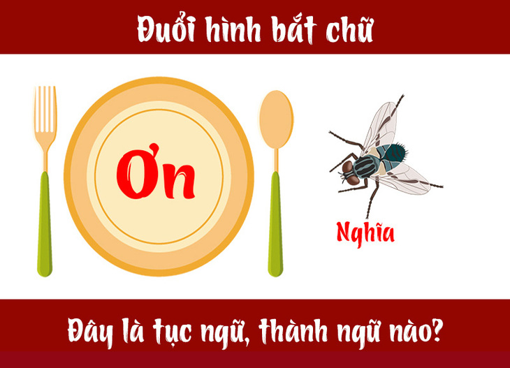 Câu tục ngữ, thành ngữ khó nhằn này là gì? (P23) - Ảnh 1.