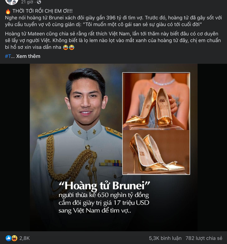 Có hay không chuyện hoàng tử Brunei qua Việt Nam tuyển vợ? - Ảnh 1.
