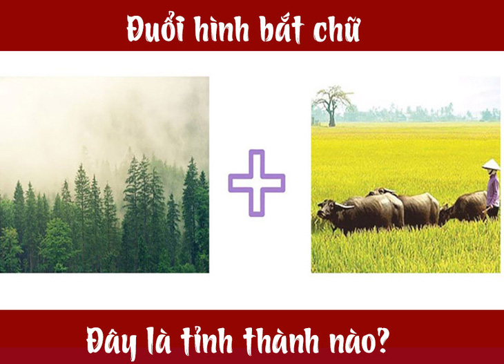 Đuổi hình bắt chữ: Đây là tỉnh thành nào của nước ta (P16) - Ảnh 7.