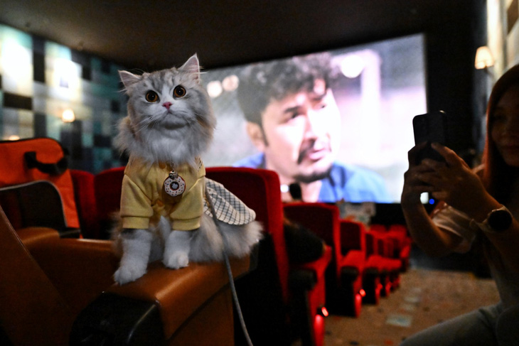 Thái Lan khai trương rạp phim đầu tiên dành cho thú cưng - Ảnh 1.