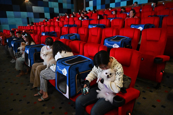 Thái Lan khai trương rạp phim đầu tiên dành cho thú cưng - Ảnh 2.