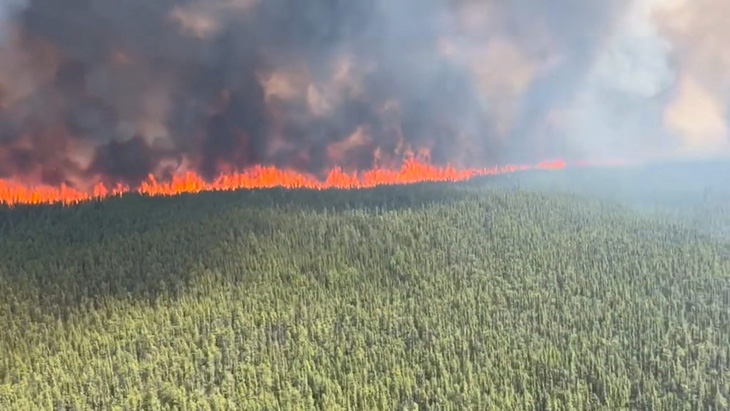 Cháy rừng mạnh có phải chỉ do biến đổi khí hậu? - Ảnh 1.