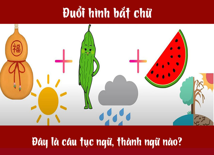 Câu tục ngữ, thành ngữ khó nhằn này là gì? (P34) - Ảnh 7.