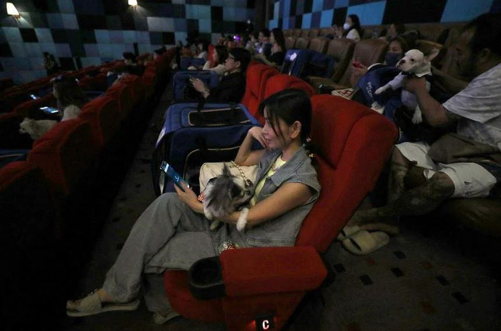 Thái Lan cho phép khách hàng mang thú cưng vào rạp phim - Ảnh 3.