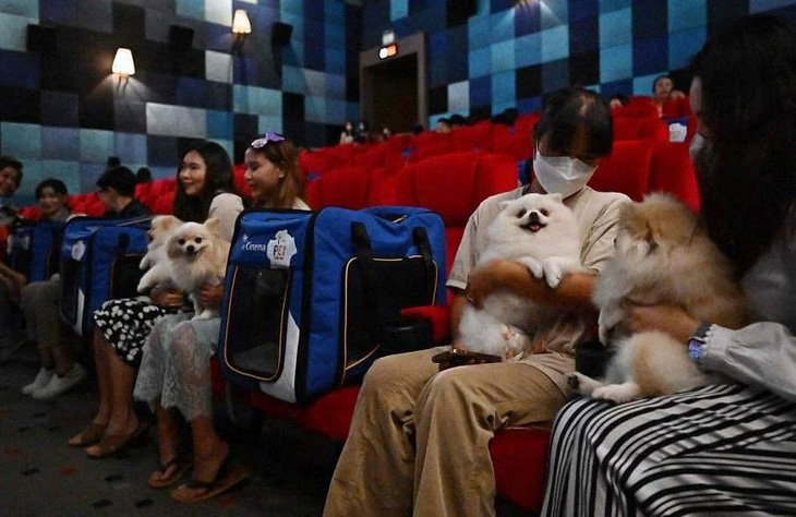 Thái Lan cho phép khách hàng mang thú cưng vào rạp phim - Ảnh 2.