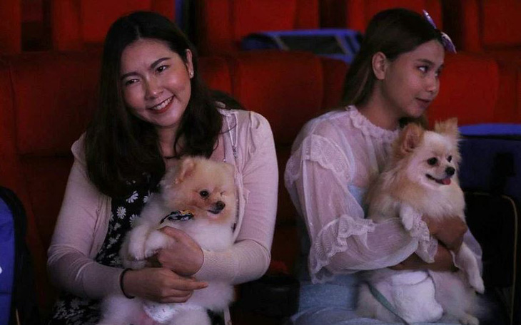 Thái Lan cho phép khách hàng mang thú cưng vào rạp phim