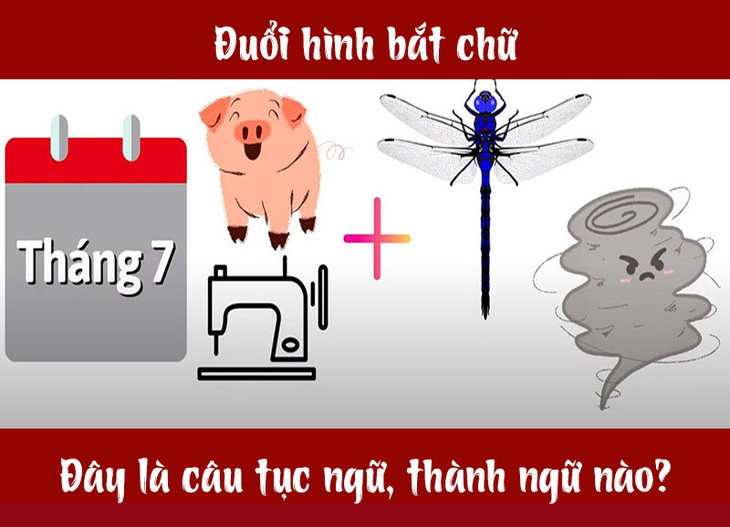 Câu tục ngữ, thành ngữ khó nhằn này là gì? (P33) - Ảnh 1.