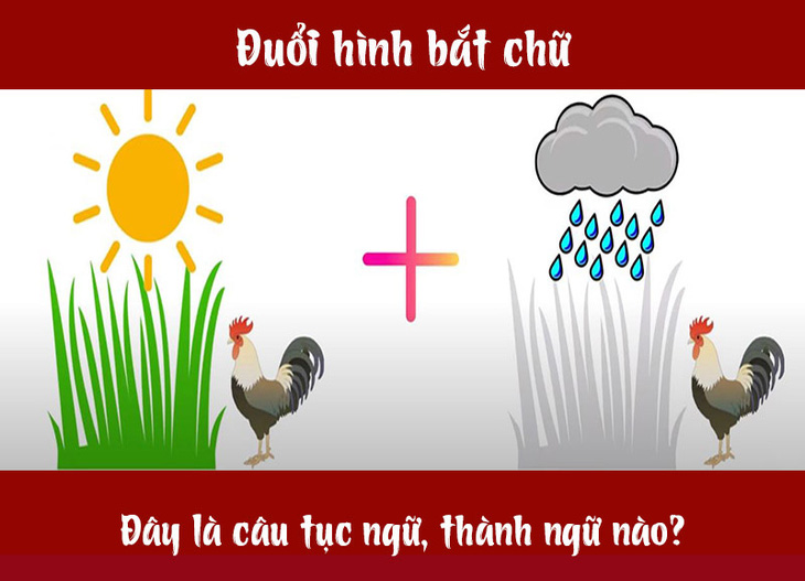 Câu tục ngữ, thành ngữ khó nhằn này là gì? (P34) - Ảnh 4.