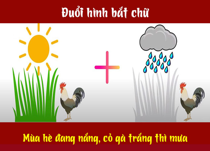 Câu tục ngữ, thành ngữ khó nhằn này là gì? (P34) - Ảnh 6.