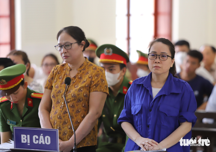 Cô giáo Lê Thị Dung bị phạt 15 tháng tù - Ảnh 1.