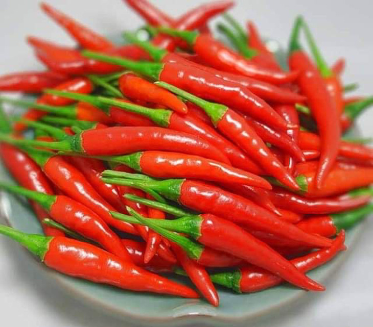 Hàn Quốc không cấm nhập khẩu ớt từ Việt Nam, chỉ thu hồi sản phẩm vi phạm - Ảnh 1.