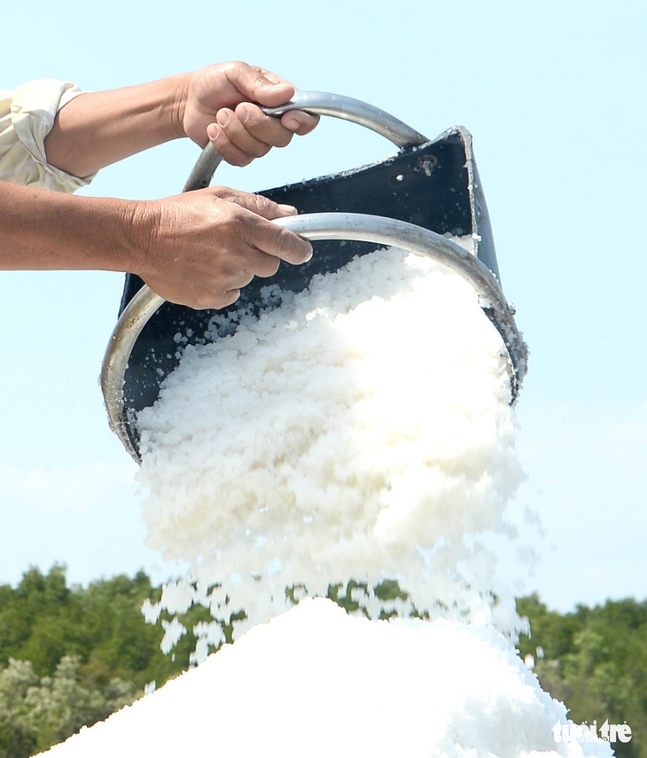 Những hạt muối tinh khiết được sản xuất theo công nghệ mới, sạch và năng suất cao tại Cần Giờ, TP.HCM - Ảnh: TỰ TRUNG