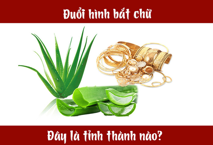 IQ cao có đoán được đây là tỉnh thành nào nước ta? (P24) - Ảnh 4.