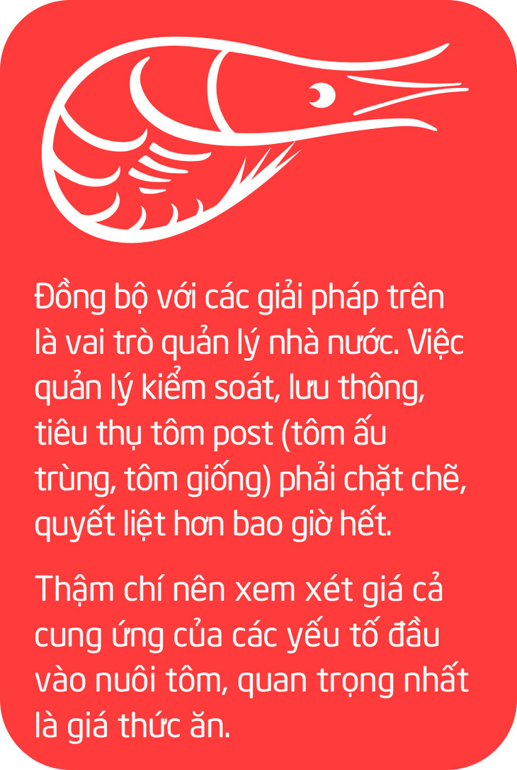 Chuyện gì đang xảy ra với con tôm Việt Nam? - Ảnh 7.