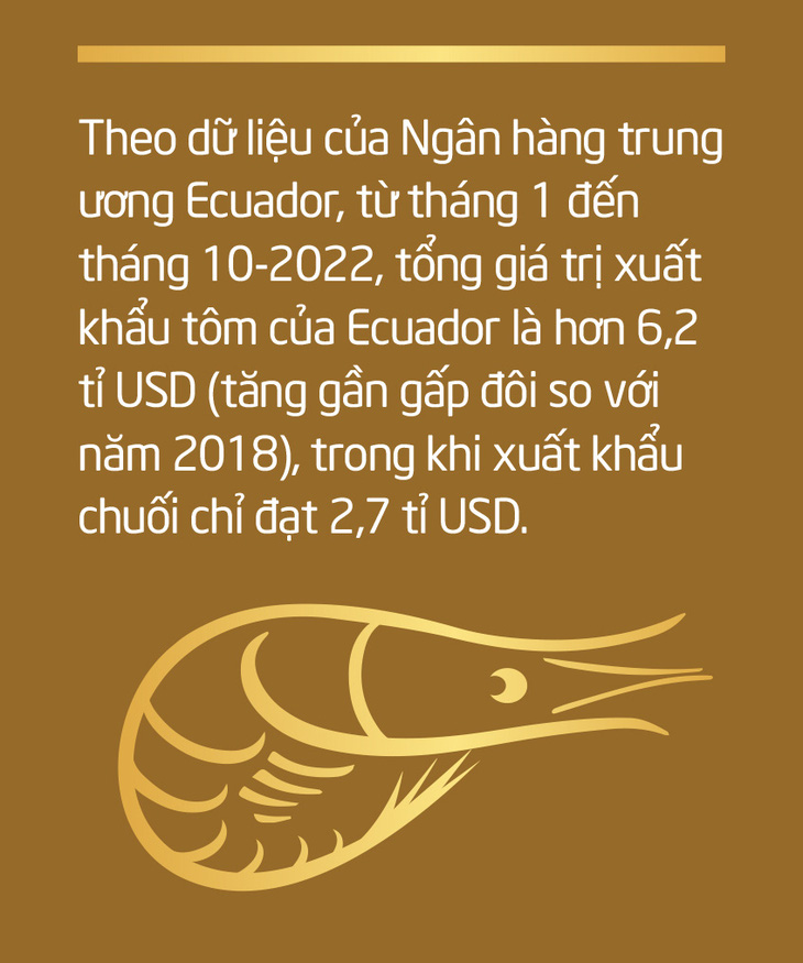 Chuyện gì đang xảy ra với con tôm Việt Nam? - Ảnh 15.