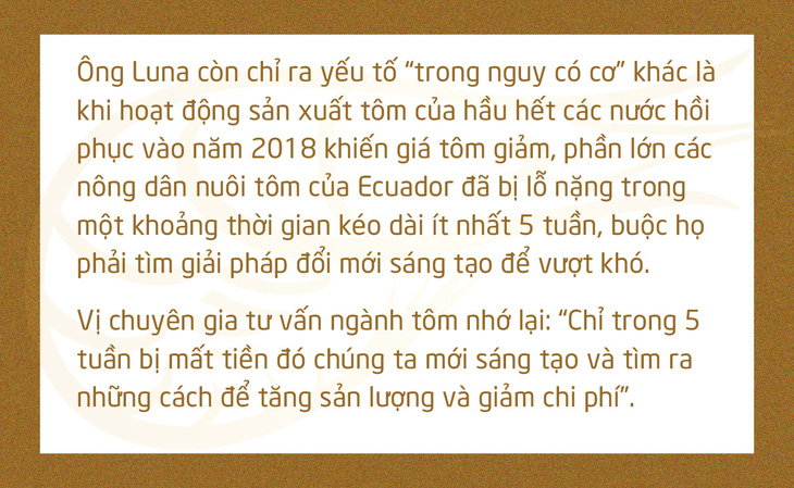 Chuyện gì đang xảy ra với con tôm Việt Nam? - Ảnh 18.