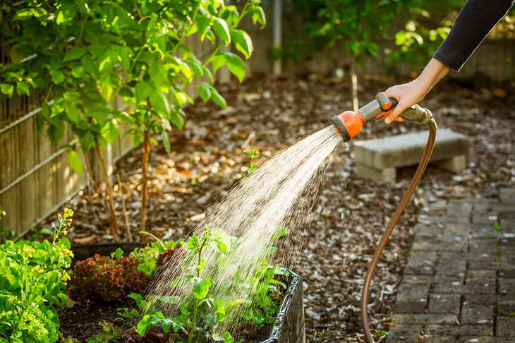 Anh: Cấm dùng vòi tưới và phun nước sân vườn để tiết kiệm nước sinh hoạt - Ảnh 1.