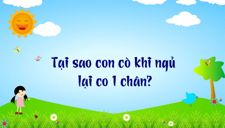 Câu đố hack não: Từ nào trong tiếng Việt có 12 chữ Y? - Ảnh 10.