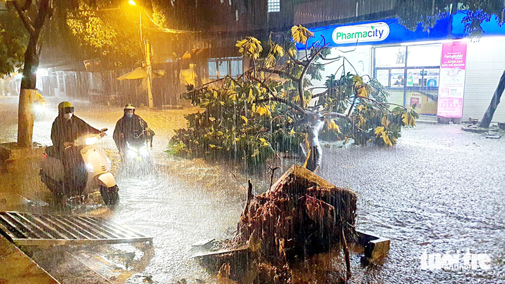 Cây ngã, nước ngập sau trận mưa tối 22-6 trên đường Cầu Xéo, quận Tân Phú, TP.HCM - Ảnh: MINH HÒA