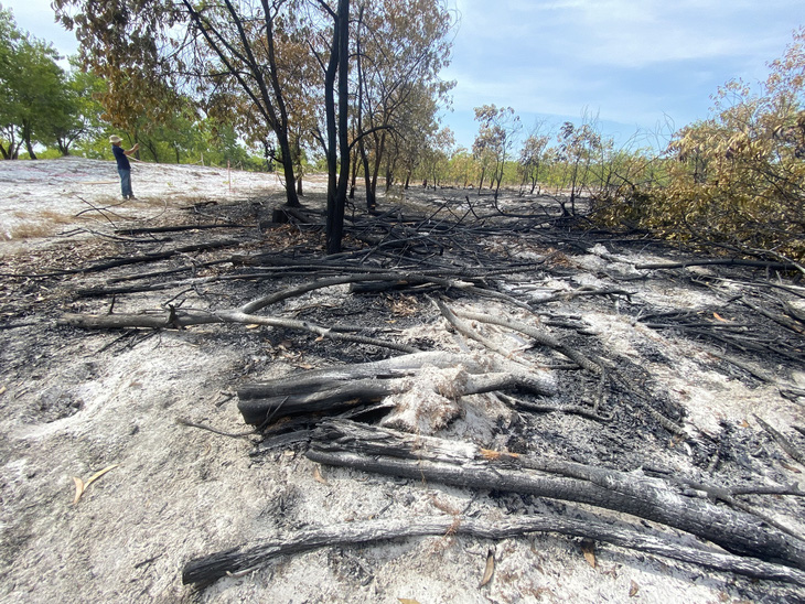 Xôn xao diễn tập chữa cháy rừng khiến cây rừng phòng hộ nhuốm màu đen, trơ gốc - Ảnh 4.