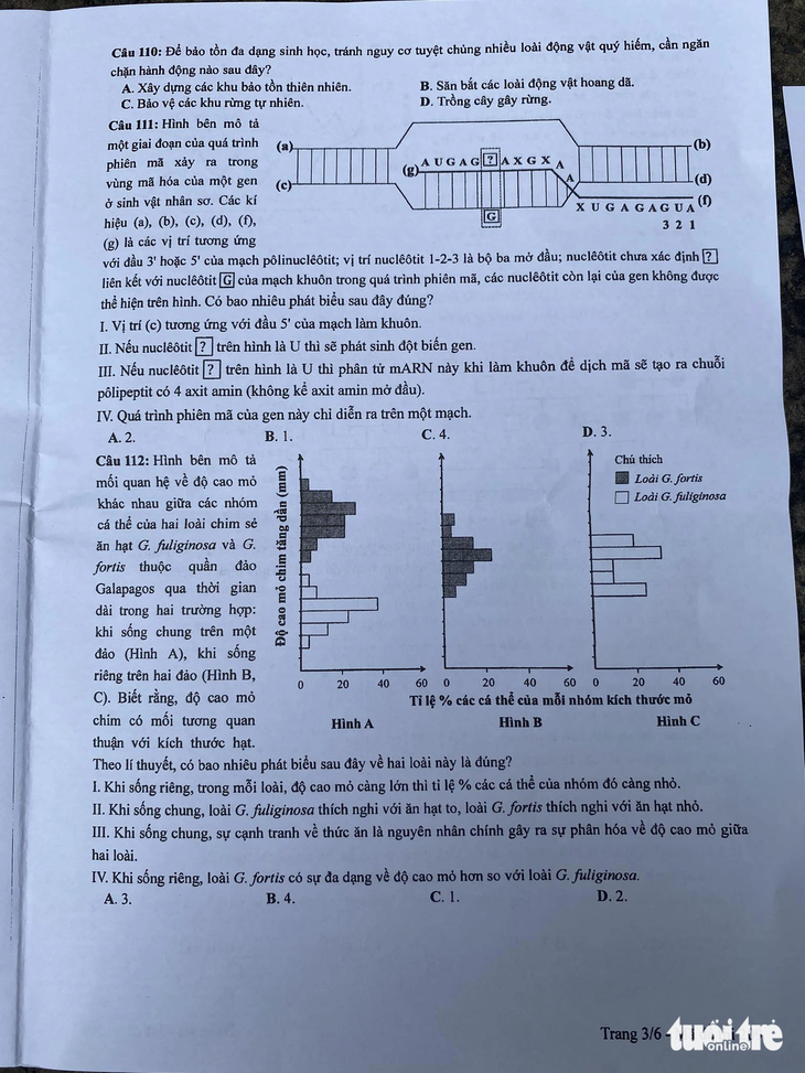Đã có đề Sinh học kỳ thi tốt nghiệp THPT 2023 - Ảnh 3.