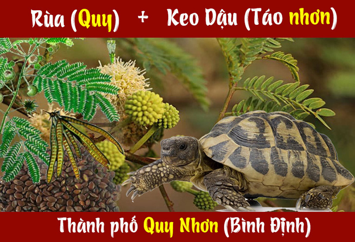 IQ cao có đoán được đây là thành phố nào của nước ta? - Ảnh 6.