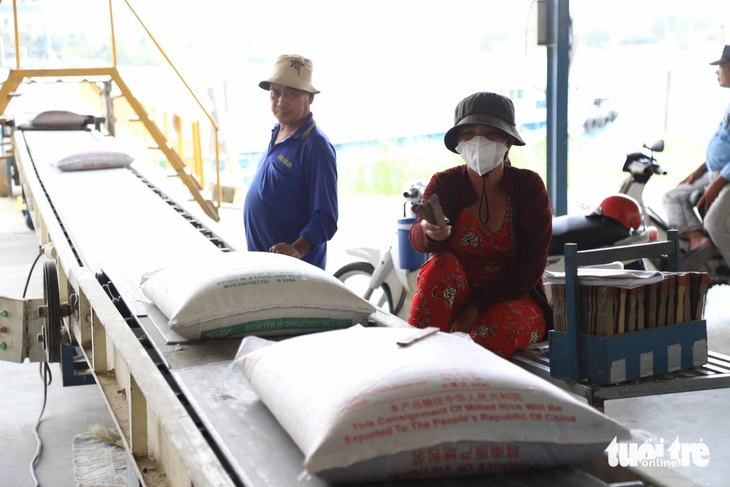 Chế biến gạo xuất khẩu tạo một nhà máy ở huyện Phú Tân, tỉnh An Giang - Ảnh: CHÍ QUỐC