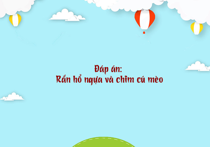 Câu đố hack não: Con gái thích gì nhất ở con trai? - Ảnh 9.