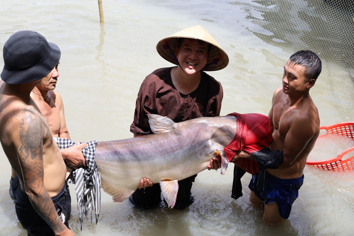 Ngắm đàn thủy quái sông Mekong - Ảnh 1.