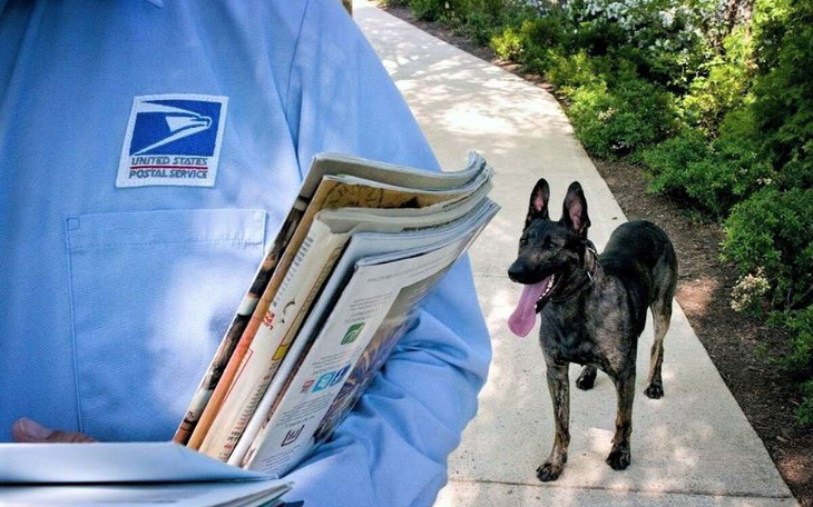 Hơn 5.300 bưu tá bị chó cắn ở Mỹ dù gia chủ khẳng định 